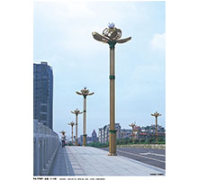 荷花型LED景观道路星空(中国)