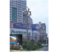 花瓣型LED景观道路星空(中国)
